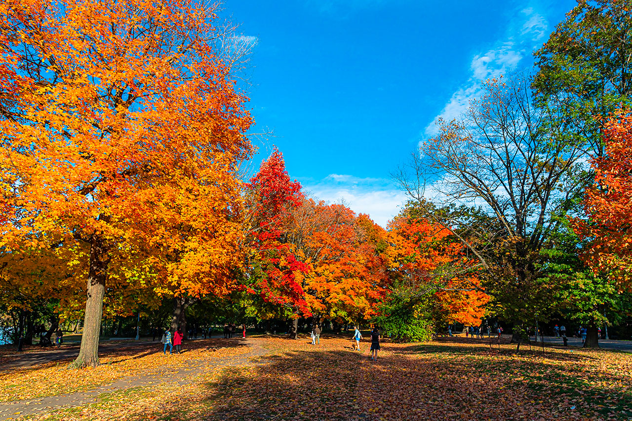 Die parks von Brooklyn: vielfältige und dynamische grünflächen