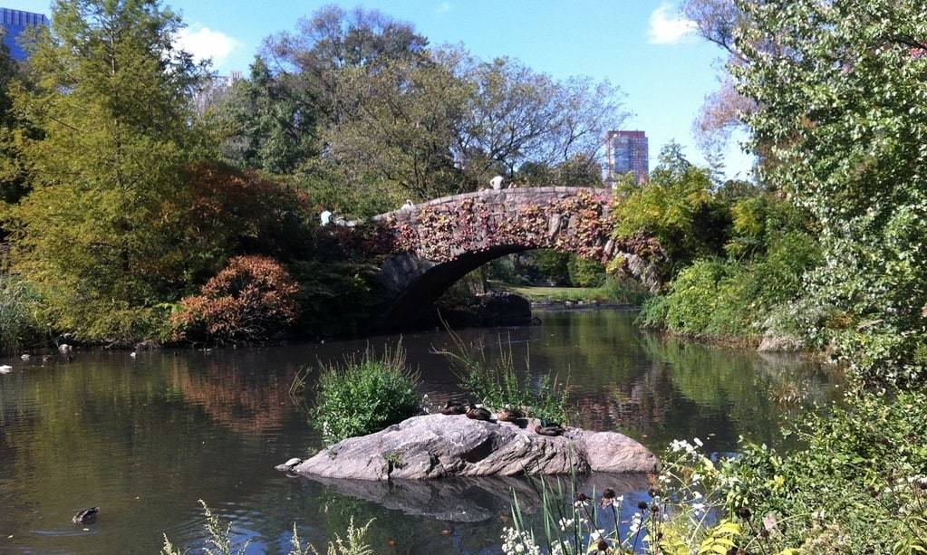 Central Park: Eine Oase in der Großstadt